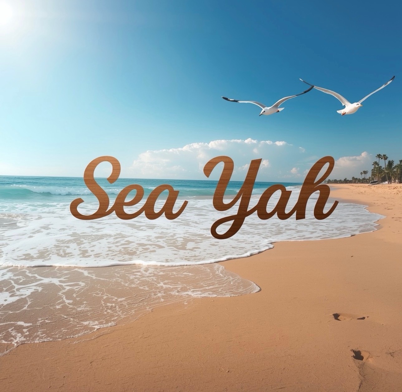 Sea Yah jet ski preparing for launch in Central Florida waters